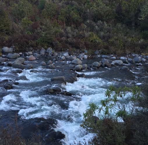 The Mahuia Rapids, part of the Pukeonaki Stream, fed by two volcanic complexes.